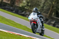 Oulton-Park-21st-March-2020;PJ-Motorsport-Photography-2020;anglesey;brands-hatch;cadwell-park;croft;donington-park;enduro-digital-images;event-digital-images;eventdigitalimages;mallory;no-limits;oulton-park;peter-wileman-photography;racing-digital-images;silverstone;snetterton;trackday-digital-images;trackday-photos;vmcc-banbury-run;welsh-2-day-enduro